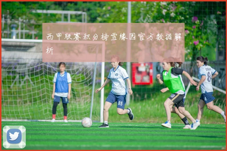 西甲联赛积分榜雪缘园官方数据解析