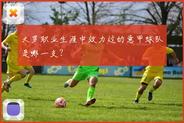 大罗职业生涯中效力过的意甲球队是哪一支？