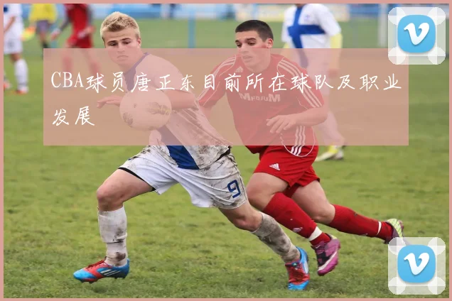 CBA球员唐正东目前所在球队及职业发展