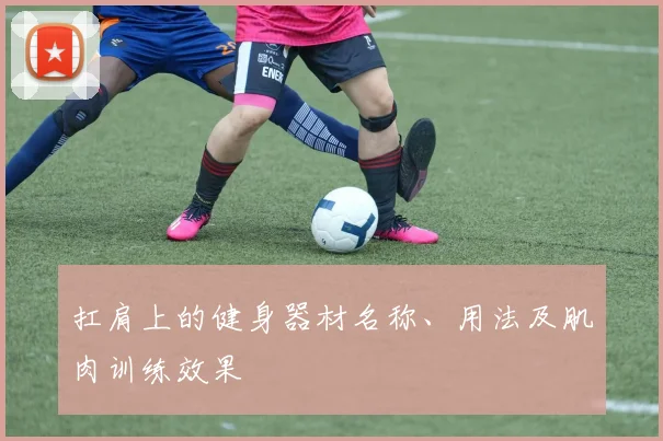 扛肩上的健身器材名称、用法及肌肉训练效果