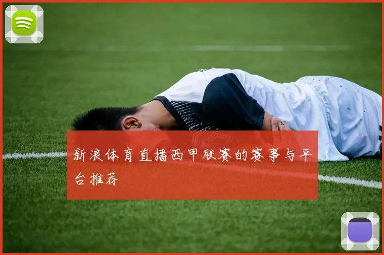 新浪体育直播西甲联赛的赛事与平台推荐