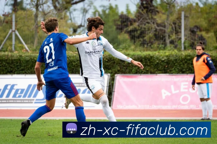 世界杯直播平台生态图